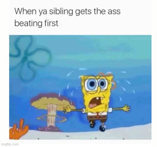 image tagged in memes | made w/ Imgflip meme maker