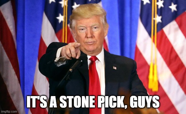 Trump Fake News | IT'S A STONE PICK, GUYS | image tagged in trump fake news | made w/ Imgflip meme maker