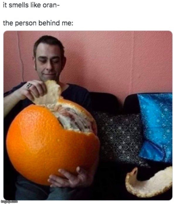 image tagged in memes,funny | made w/ Imgflip meme maker