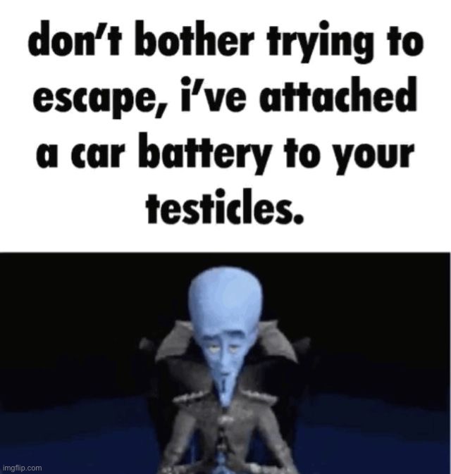 image tagged in memes | made w/ Imgflip meme maker