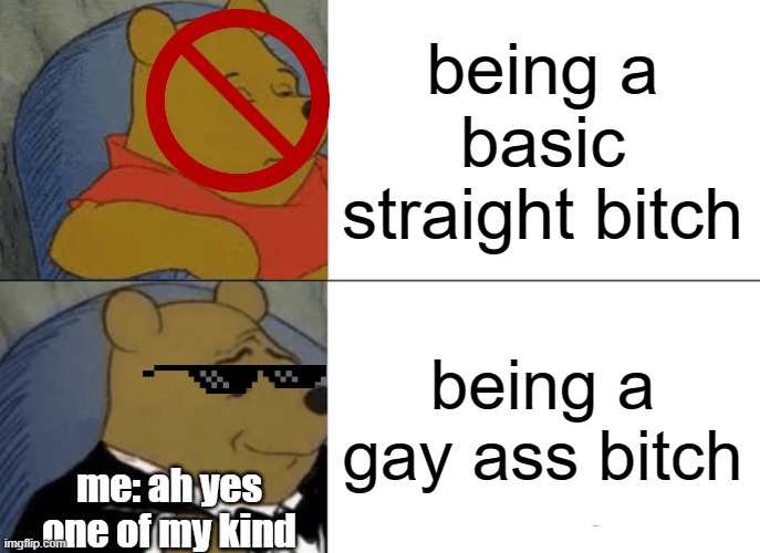 straight vs. gay (psh gay obvi wins) | being a basic straight bitch; being a gay ass bitch; me: ah yes one of my kind | image tagged in memes,tuxedo winnie the pooh | made w/ Imgflip meme maker