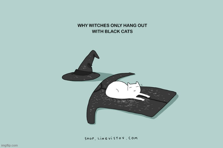 A Cat Lady's Way Of Thinking | image tagged in memes,comics,cats,hair,witches,black cat | made w/ Imgflip meme maker