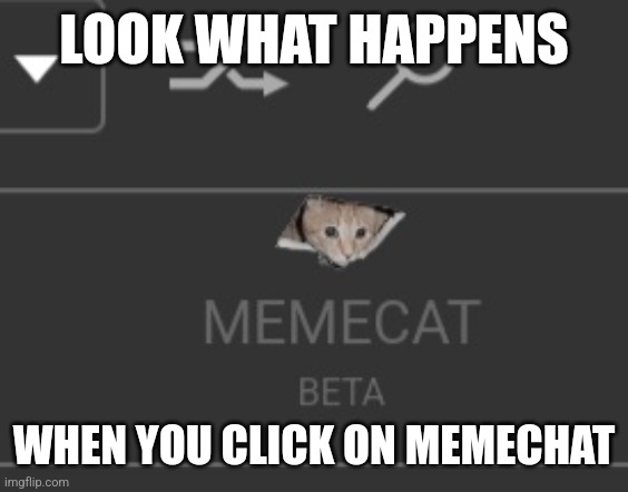 Memecat Easter egg | LOOK WHAT HAPPENS; WHEN YOU CLICK ON MEMECHAT | image tagged in memecat | made w/ Imgflip meme maker