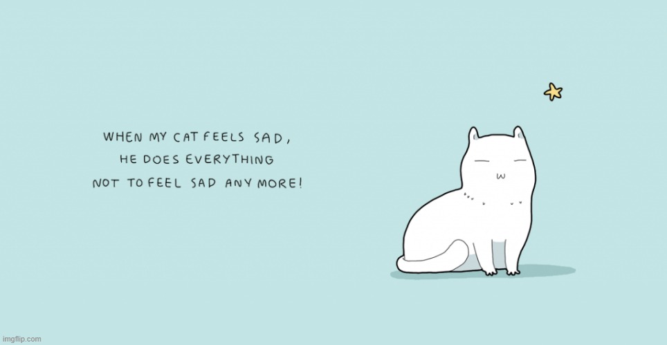 A Cat Guy's Way Of Thinking | image tagged in memes,comics,cats,everything,not,sad cat | made w/ Imgflip meme maker