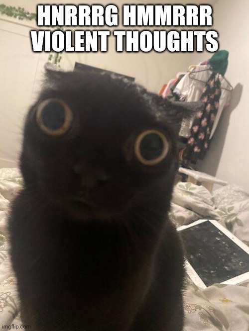 Random | HNRRRG HMMRRR VIOLENT THOUGHTS | made w/ Imgflip meme maker
