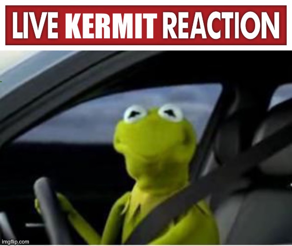 Live Kermit reaction | image tagged in live kermit reaction | made w/ Imgflip meme maker
