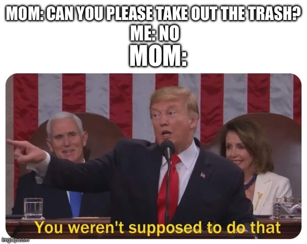 You weren't supposed to do that | MOM: CAN YOU PLEASE TAKE OUT THE TRASH? ME: NO; MOM: | image tagged in you weren't supposed to do that | made w/ Imgflip meme maker