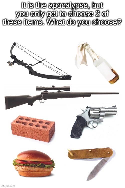 what do you choose? | It is the apocalypse, but you only get to choose 2 of these items. What do you choose? | made w/ Imgflip meme maker