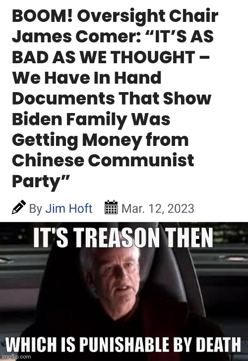 Punishable by death. | IT'S TREASON THEN; WHICH IS PUNISHABLE BY DEATH | image tagged in it's treason then | made w/ Imgflip meme maker