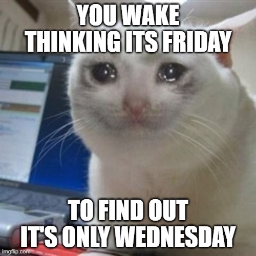 Crying cat | YOU WAKE THINKING ITS FRIDAY; TO FIND OUT IT'S ONLY WEDNESDAY | image tagged in crying cat | made w/ Imgflip meme maker