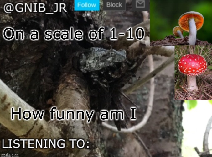 How funni | On a scale of 1-10; How funny am I | image tagged in gnib_jr's new temp | made w/ Imgflip meme maker