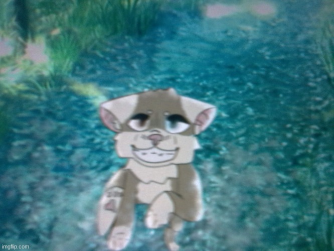 Maggotpaw (Warriors OC) | image tagged in sndbviufvhschdcuh,hwehvuhincs,sdvsdhvbdhhdshzhiuc,jhsdgvdsvcsuhz,sdhdscbuihscbhs,ahscgeygvguyds | made w/ Imgflip meme maker
