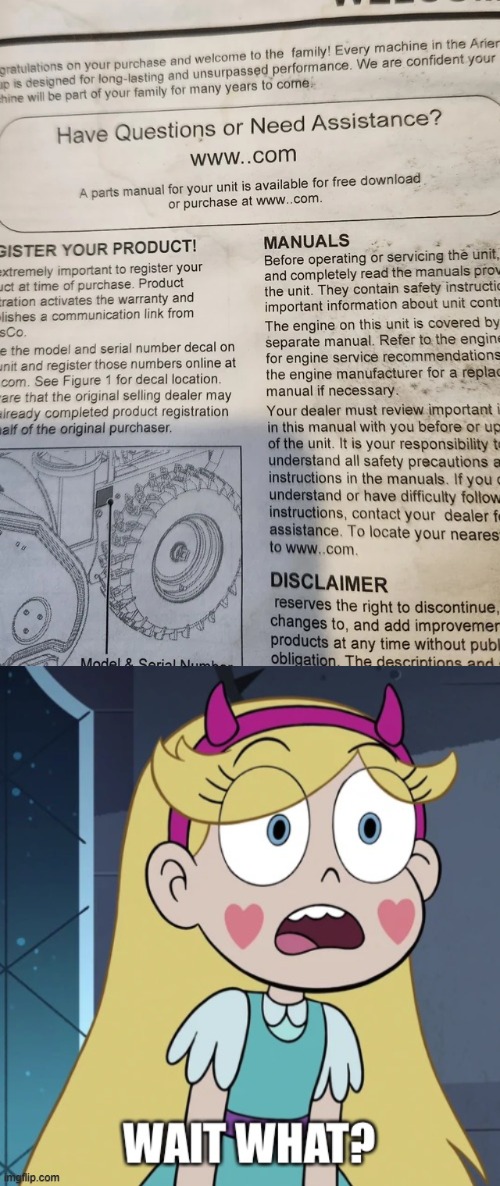 Insert URL here. | image tagged in star butterfly wait what,you had one job,memes,star vs the forces of evil | made w/ Imgflip meme maker