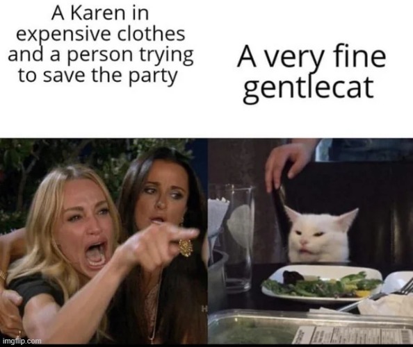 A fine gentlecat | image tagged in memes,funny,karens | made w/ Imgflip meme maker