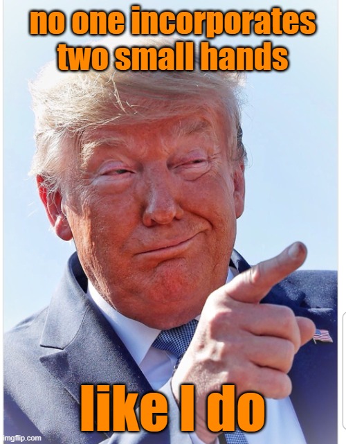 Trump pointing | no one incorporates two small hands like I do | image tagged in trump pointing | made w/ Imgflip meme maker