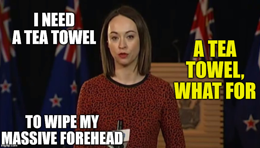Tova O'Brien |  I NEED A TEA TOWEL; A TEA TOWEL, WHAT FOR; TO WIPE MY MASSIVE FOREHEAD | image tagged in forehead,huge,new zealand,media,know it all,arrogant | made w/ Imgflip meme maker