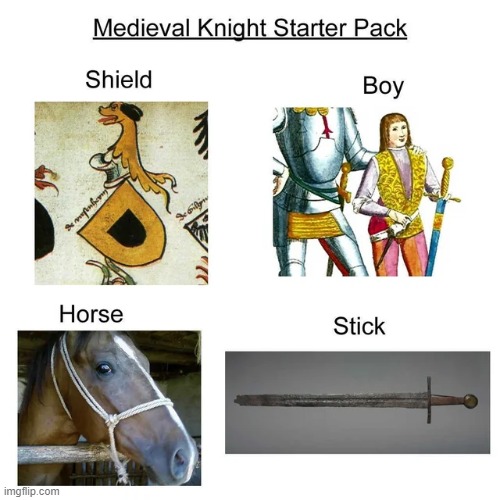 In the Middle Ages, knights were a type of professional warrior that fought for the medieval nobility. | image tagged in memes,funny,history | made w/ Imgflip meme maker