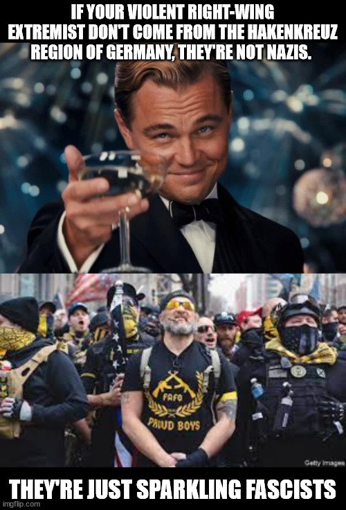 IF YOUR VIOLENT RIGHT-WING EXTREMIST DON'T COME FROM THE HAKENKREUZ REGION OF GERMANY, THEY'RE NOT NAZIS. THEY'RE JUST SPARKLING FASCISTS | image tagged in memes,leonardo dicaprio cheers | made w/ Imgflip meme maker