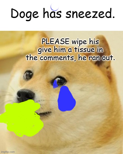 Doge Meme | Doge has sneezed. PLEASE wipe his give him a tissue in the comments, he ran out. | image tagged in memes,doge | made w/ Imgflip meme maker