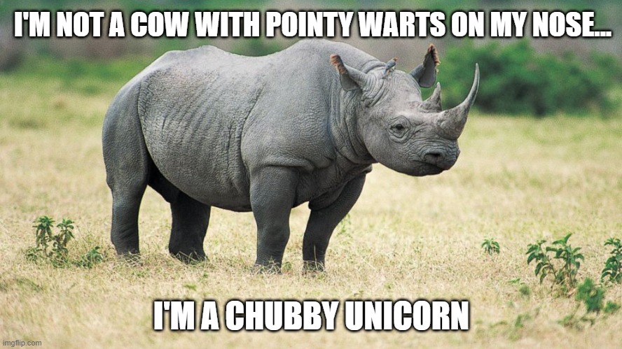 Chubby Unicorn | I'M NOT A COW WITH POINTY WARTS ON MY NOSE... I'M A CHUBBY UNICORN | image tagged in rhino tomorrow,delusional | made w/ Imgflip meme maker
