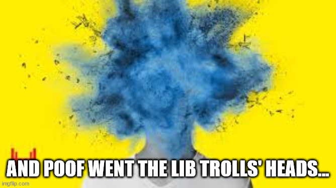 head explodes | AND POOF WENT THE LIB TROLLS' HEADS... | image tagged in head explodes | made w/ Imgflip meme maker