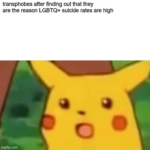 Surprised Pikachu | transphobes after finding out that they are the reason LGBTQ+ suicide rates are high | image tagged in memes,surprised pikachu | made w/ Imgflip meme maker