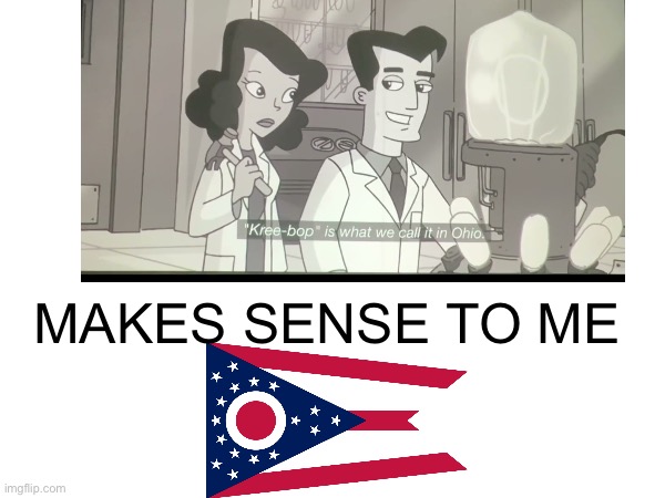 average ohian language | MAKES SENSE TO ME | image tagged in phineas and ferb,ohio,kreebop,only in ohio | made w/ Imgflip meme maker