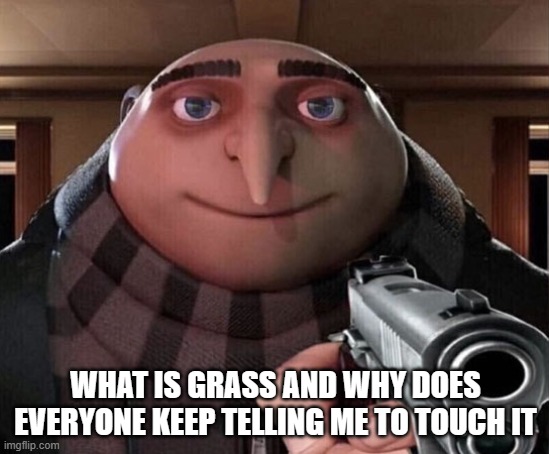 Gru Gun | WHAT IS GRASS AND WHY DOES EVERYONE KEEP TELLING ME TO TOUCH IT | image tagged in gru gun | made w/ Imgflip meme maker