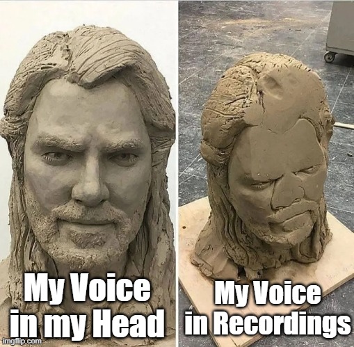 I Always get Terrible Voice Recordings. | My Voice in Recordings; My Voice in my Head | image tagged in statue before and after being dropped,memes,funny,relatable memes,so true memes,voice | made w/ Imgflip meme maker
