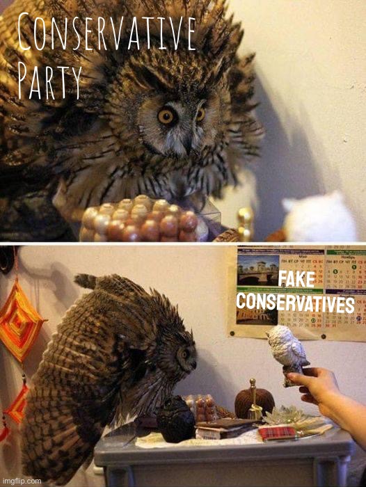 Join the Conservative Party of Imgflip where we expose the liars and the fakes. | Conservative Party; Fake conservatives | image tagged in owl reaction,conservative party,fake conservatives,fake,fakers,fakery | made w/ Imgflip meme maker