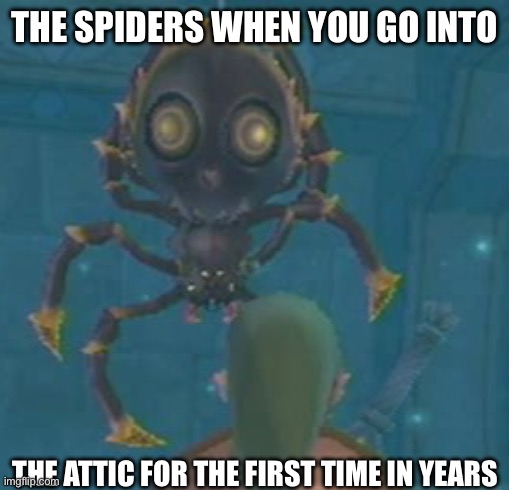 THE SPIDERS WHEN YOU GO INTO; THE ATTIC FOR THE FIRST TIME IN YEARS | made w/ Imgflip meme maker