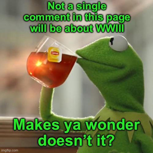 But That's None Of My Business Meme | Not a single comment in this page will be about WWIII Makes ya wonder
doesn’t it? | image tagged in memes,but that's none of my business,kermit the frog | made w/ Imgflip meme maker