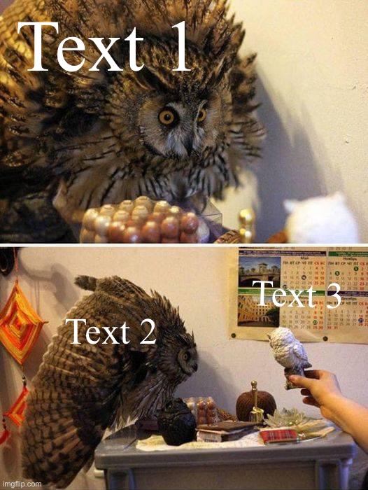 Owl reaction | Text 1; Text 2; Text 3 | image tagged in owl reaction | made w/ Imgflip meme maker