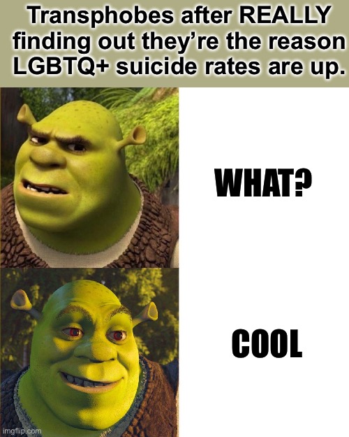 Shrek no - yes (drake format) | WHAT? COOL Transphobes after REALLY finding out they’re the reason LGBTQ+ suicide rates are up. | image tagged in shrek no - yes drake format | made w/ Imgflip meme maker