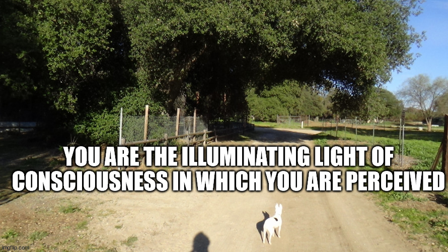 Love | YOU ARE THE ILLUMINATING LIGHT OF CONSCIOUSNESS IN WHICH YOU ARE PERCEIVED | image tagged in meditation | made w/ Imgflip meme maker