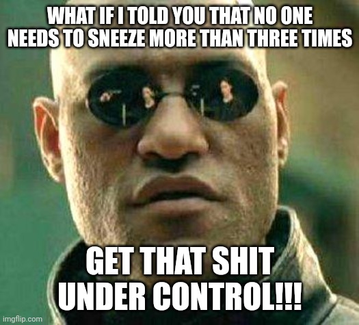 What if i told you | WHAT IF I TOLD YOU THAT NO ONE NEEDS TO SNEEZE MORE THAN THREE TIMES; GET THAT SHIT UNDER CONTROL!!! | image tagged in what if i told you | made w/ Imgflip meme maker