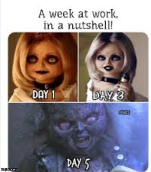 fr | image tagged in chucky | made w/ Imgflip meme maker