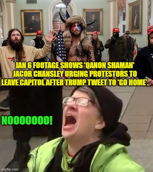 Yep | JAN 6 FOOTAGE SHOWS 'QANON SHAMAN' JACOB CHANSLEY URGING PROTESTORS TO LEAVE CAPITOL AFTER TRUMP TWEET TO 'GO HOME'. NOOOOOOO! | image tagged in truth | made w/ Imgflip meme maker