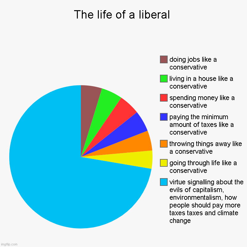 Remember, the only difference between you and that liberal is virtue signalling. | The life of a liberal | virtue signalling about the evils of capitalism, environmentalism, how people should pay more taxes taxes and climat | image tagged in charts,pie charts | made w/ Imgflip chart maker