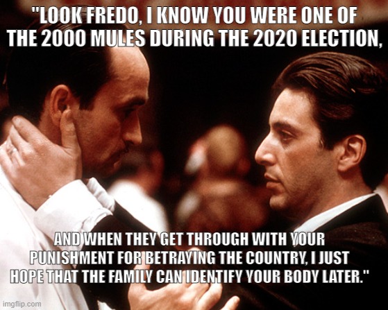 I Know, Fredo. | "LOOK FREDO, I KNOW YOU WERE ONE OF THE 2000 MULES DURING THE 2020 ELECTION, AND WHEN THEY GET THROUGH WITH YOUR PUNISHMENT FOR BETRAYING THE COUNTRY, I JUST HOPE THAT THE FAMILY CAN IDENTIFY YOUR BODY LATER." | image tagged in godfather fredo michael kiss of death | made w/ Imgflip meme maker