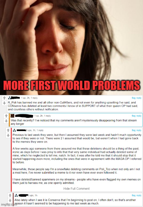 When life is just too much to bear | MORE FIRST WORLD PROBLEMS | image tagged in first world problems,liberals,trolls | made w/ Imgflip meme maker