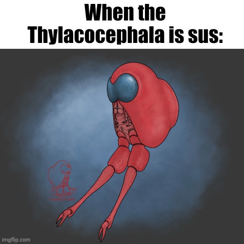 When the Thylacocephala is sus: | made w/ Imgflip meme maker