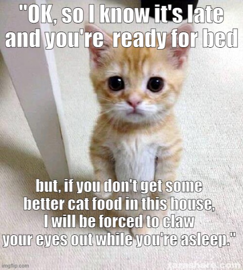 Cat Food | "OK, so I know it's late and you're  ready for bed; but, if you don't get some better cat food in this house, I will be forced to claw your eyes out while you're asleep." | image tagged in memes,cute cat,cat food,cat humor,funny cat | made w/ Imgflip meme maker