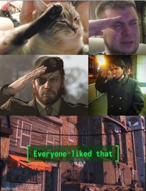 image tagged in ozon's salute,everyone liked that | made w/ Imgflip meme maker
