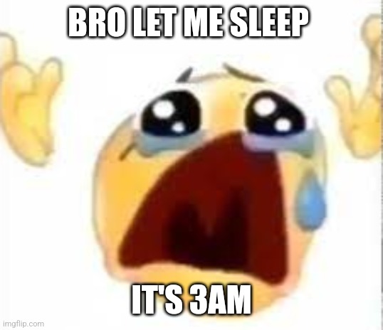 Crying emoji | BRO LET ME SLEEP IT'S 3AM | image tagged in crying emoji | made w/ Imgflip meme maker