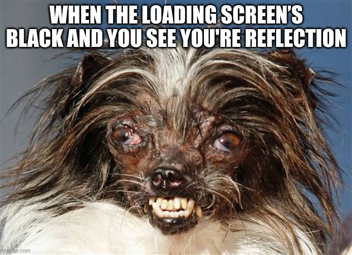 E | WHEN THE LOADING SCREEN’S BLACK AND YOU SEE YOU'RE REFLECTION | image tagged in ugly dog | made w/ Imgflip meme maker