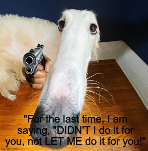 A Borzoi who had enough with the memes | "For the last time, I am saying, "DIDN'T I do it for you, not LET ME do it for you!" | image tagged in borzoi,let me do it for you,didn't i do it for you,memes,dogs,don't read the tags | made w/ Imgflip meme maker