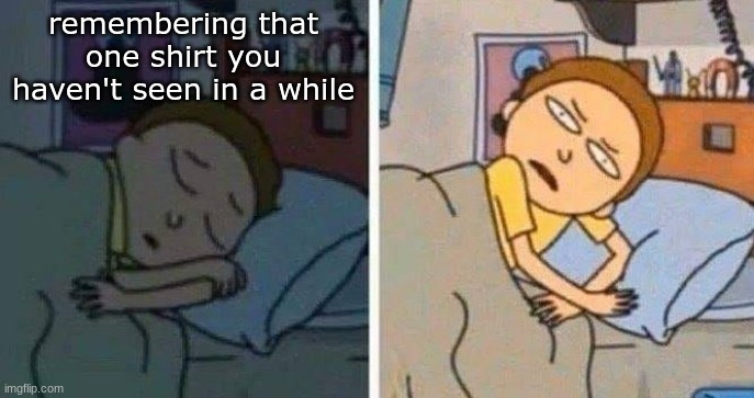 Rick and morty sleeping meme | remembering that one shirt you haven't seen in a while | image tagged in rick and morty sleeping meme | made w/ Imgflip meme maker