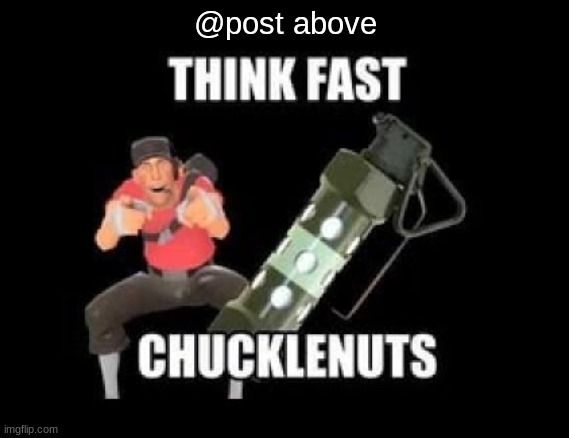 THINK FAST CHUCKLENUTS | @post above | image tagged in think fast chucklenuts | made w/ Imgflip meme maker