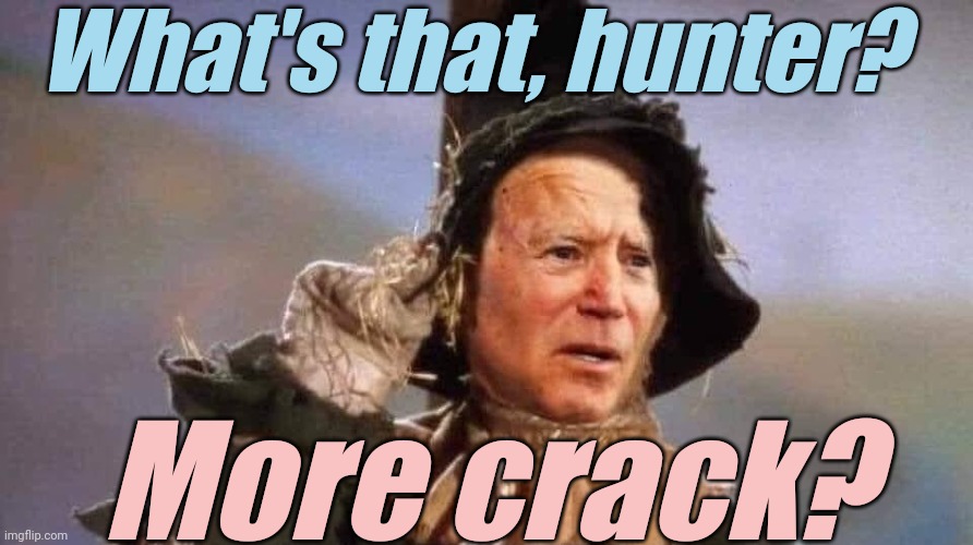 biden scarecrow | What's that, hunter? More crack? | image tagged in biden scarecrow | made w/ Imgflip meme maker